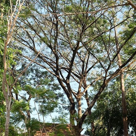 Rumah Jah Langkawi Pantai Cenang  Exteriér fotografie