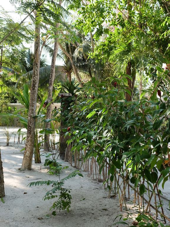 Rumah Jah Langkawi Pantai Cenang  Exteriér fotografie